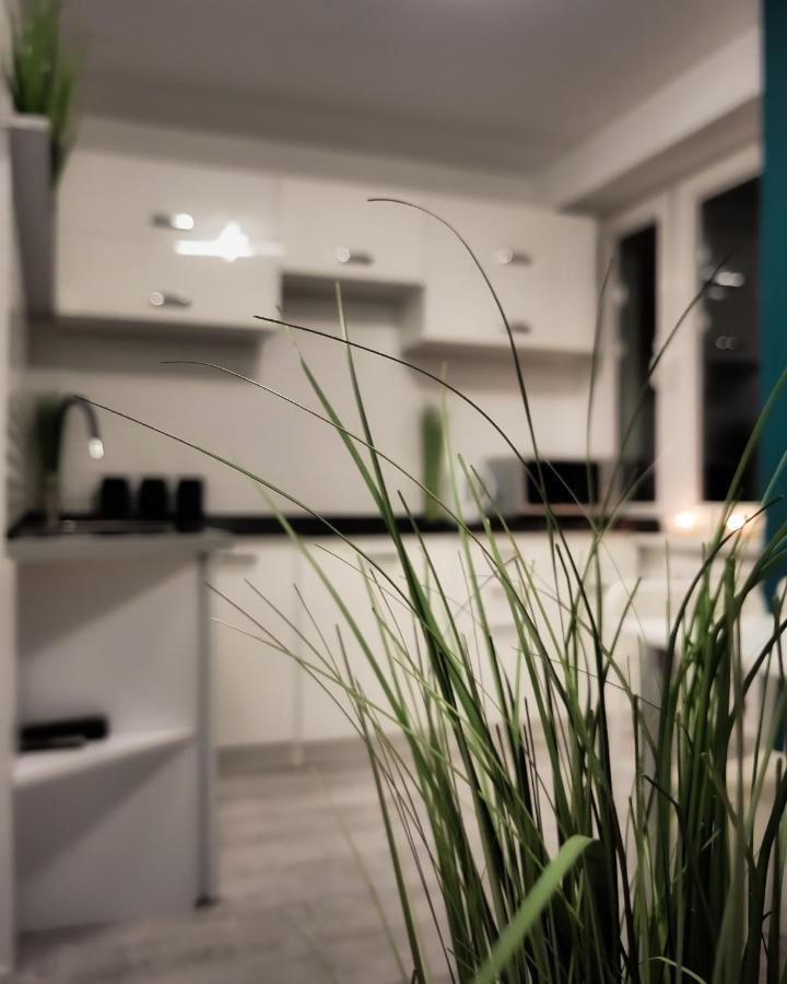 Apartament Green Mragowo-Mazury,Blisko Plaza, Centrum! Wi-Fi! Екстер'єр фото